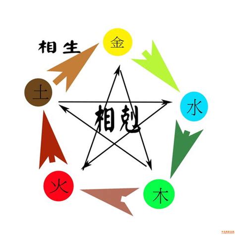 戊辰大林木|八字納音五行解析——大林木